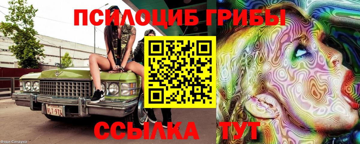 Псилоцибиновые грибы GOLDEN TEACHER  Вход с VPN  Малоярославец 