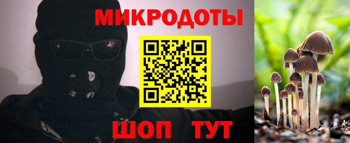 Псилоцибиновые грибы Psilocybe Малоярославец